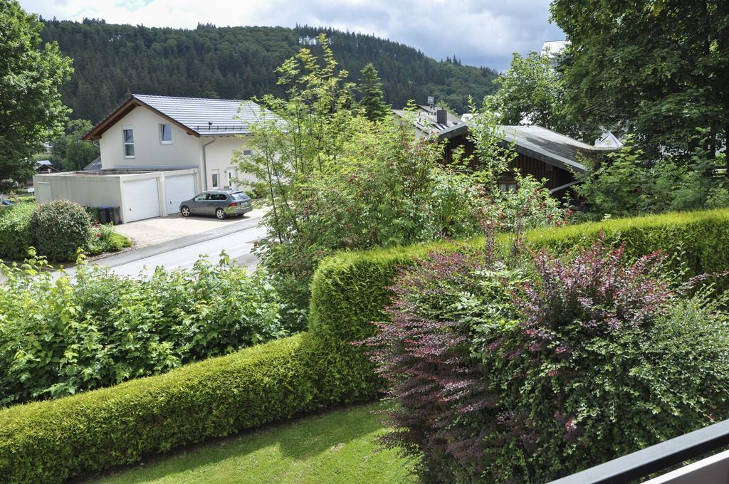 Apartament Fewo Jäger Willingen  Zewnętrze zdjęcie